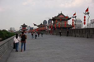 11568.jpg